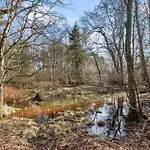 1676-frederiksvaerk-cottagevej-12 Frederiksværk